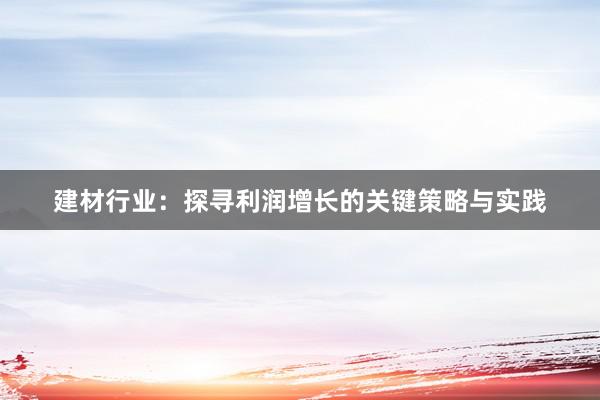 建材行业：探寻利润增长的关键策略与实践